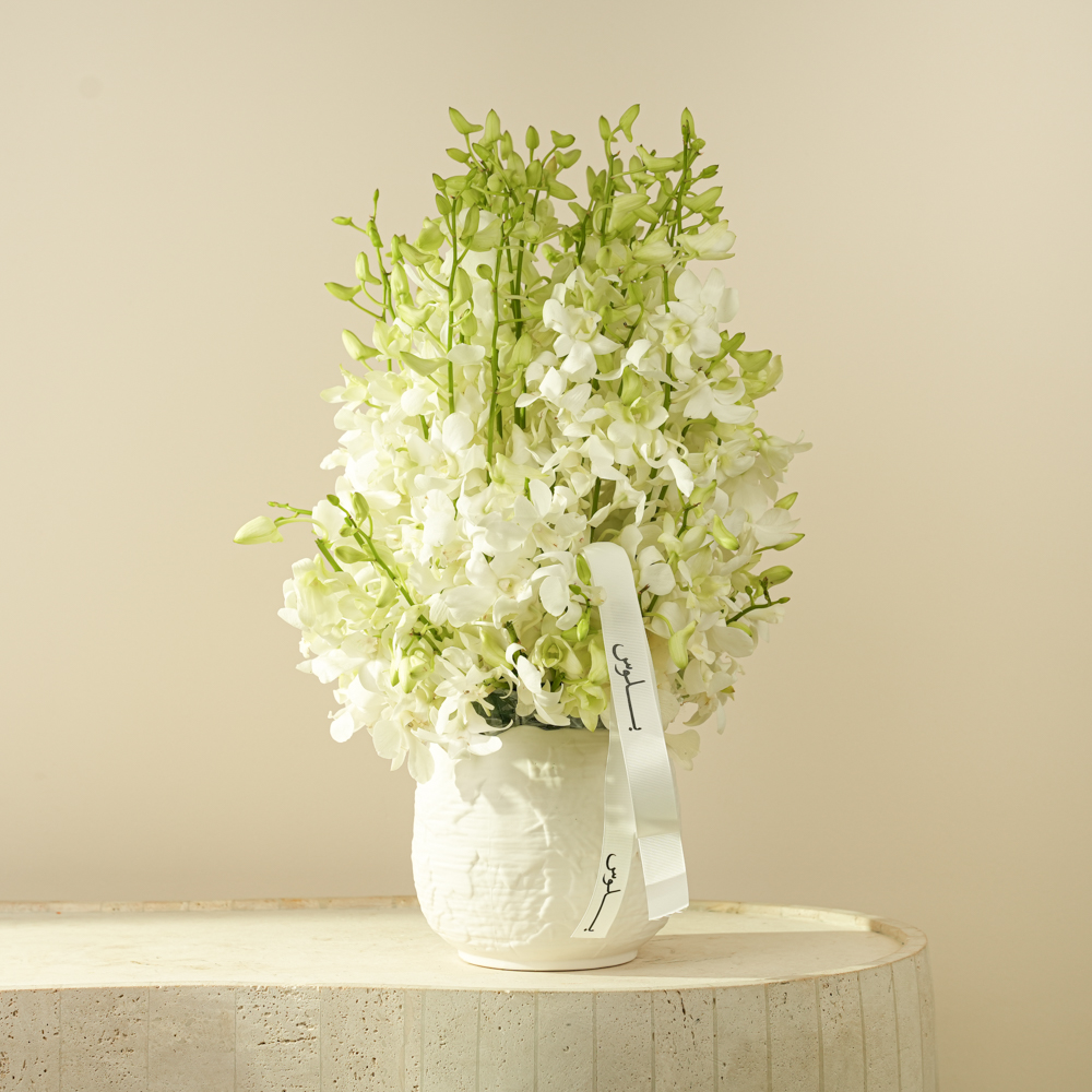 White Orchid Serenity Arrangement