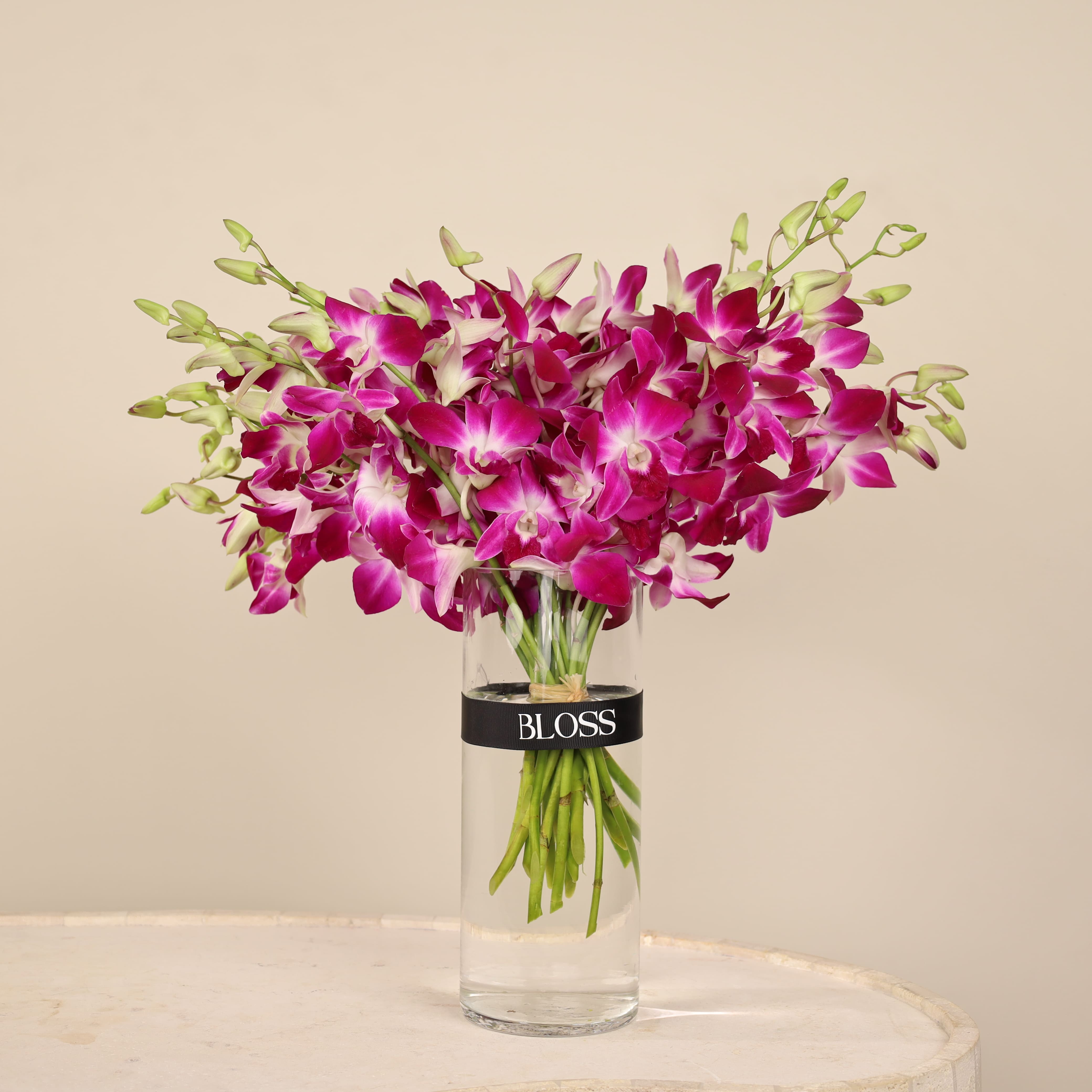 Dendrobium Purple