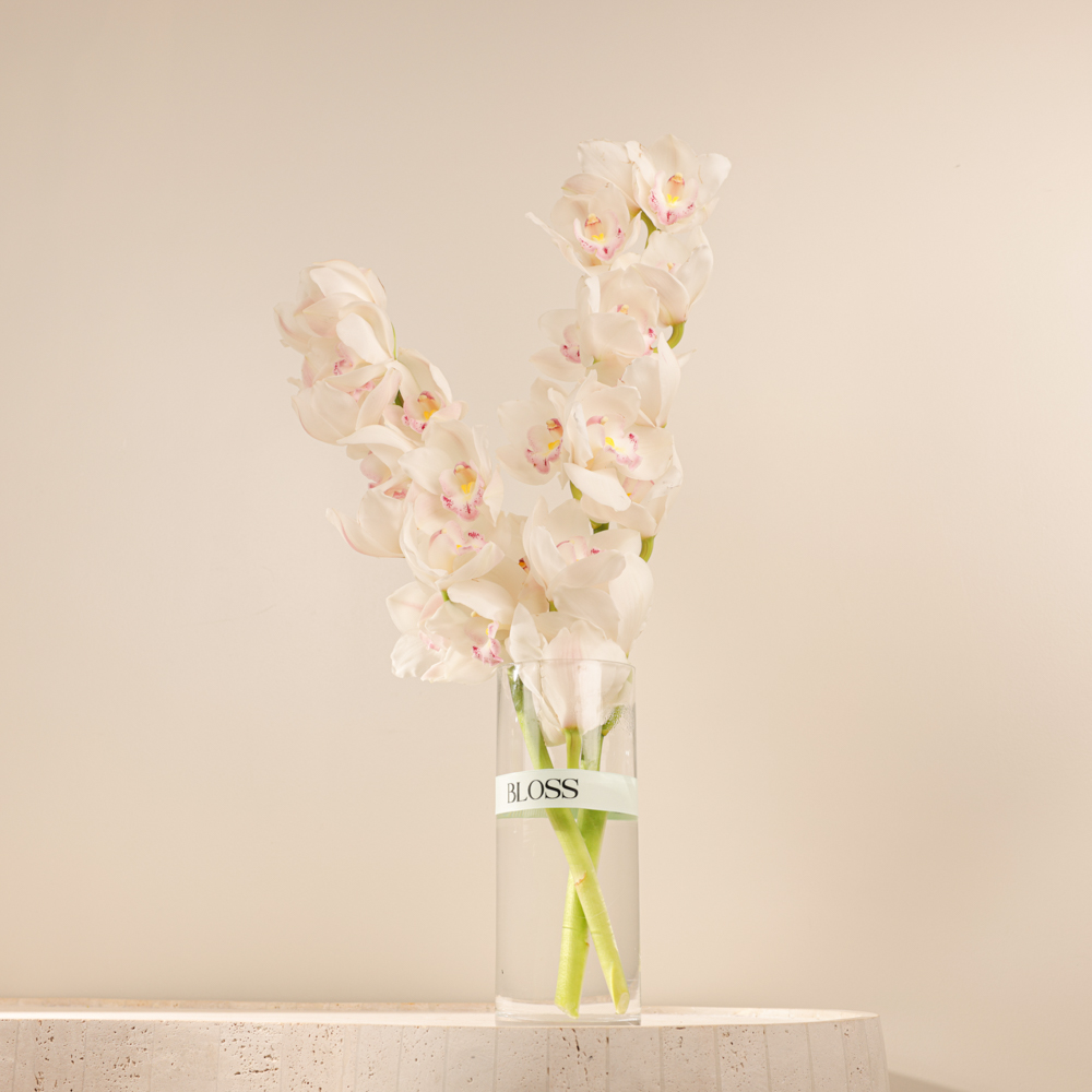 White cymbidium vase